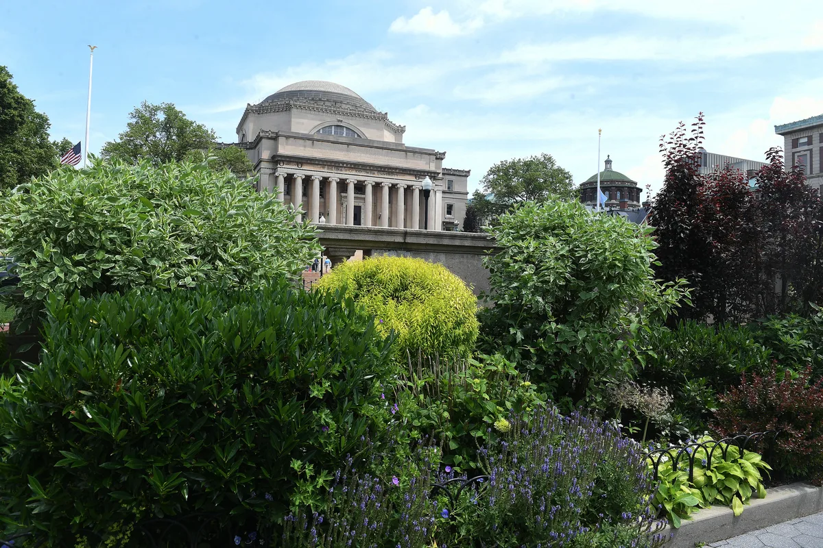 Low Library and its gardens in summer